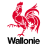 Wallonie logo